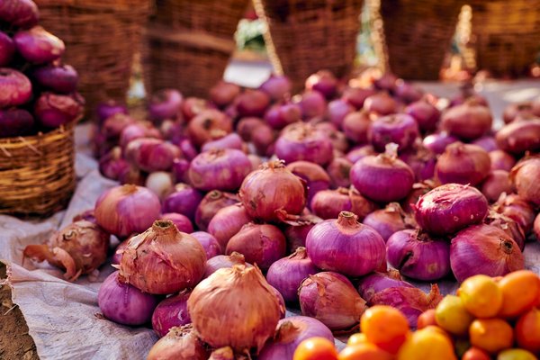 Les serviettes papier : style pratique et économique pour tous